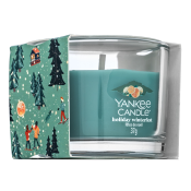 Yankee Candle Holiday Winterfest 37 g