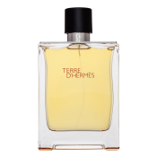 Hermès Terre D'Hermes toaletní voda pro muže Extra Offer 4 200 ml