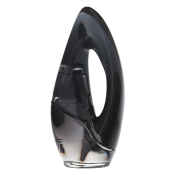 DKNY Donna Karan Woman parfémovaná voda pre ženy 50 ml