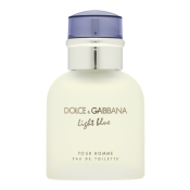 Dolce & Gabbana Light Blue Pour Homme woda toaletowa dla mężczyzn 40 ml