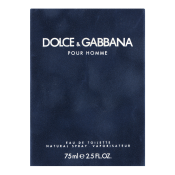 Dolce & Gabbana Pour Homme woda toaletowa dla mężczyzn 75 ml