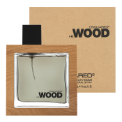 Dsquared2 He Wood toaletní voda pro muže 100 ml
