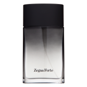 Ermenegildo Zegna Zegna Forte Eau de Toilette for men 100 ml