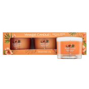 Yankee Candle Tropical Breeze votive candle 3 x 37 g