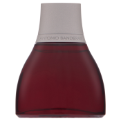 Antonio Banderas Spirit for Men toaletní voda pro muže 50 ml