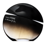 Gianfranco Ferré In The Mood for Love Eau de Toilette for men 100 ml