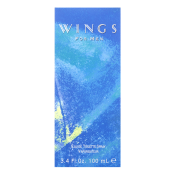 Giorgio Beverly Hills Wings for Men тоалетна вода за мъже 100 ml