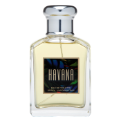 Aramis Aramis Havana Eau de Toilette bărbați 100 ml
