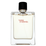 Hermès Terre D'Hermes toaletní voda pro muže 100 ml