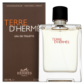 Hermès Terre D'Hermes toaletní voda pro muže 100 ml