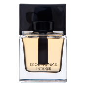 Dior (Christian Dior) Dior Homme Intense 2011 parfémovaná voda za muškarce 50 ml