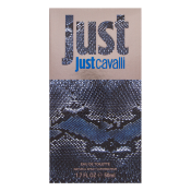 Roberto Cavalli Just Cavalli Him 2013 woda toaletowa dla mężczyzn 50 ml