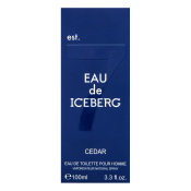 Iceberg Eau de Iceberg Cedar Eau de Toilette bărbați 100 ml