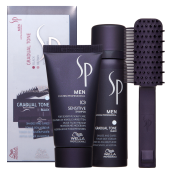 Wella Professionals SP Men Gradual Tone kit voor het herstellen van de natuurlijke haarkleur Black 60 ml
