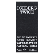Iceberg Twice pour Homme toaletní voda pro muže 75 ml