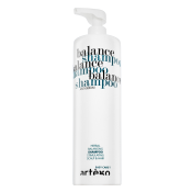 Artègo Easy Care T Balance Shampoo Reinigungsshampoo für empfindliche Kopfhaut 1000 ml