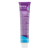 Fanola Color Toner Professional Hair Colouring Cream profesionální permanentní barva na vlasy Silver 100 ml