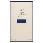 Oribe Brilliance & Shine Shampoo šampon pro zářivý lesk vlasů 250 ml