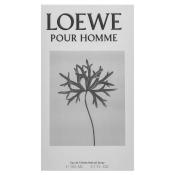 Loewe Pour Homme Eau de Toilette bărbați 150 ml