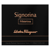Salvatore Ferragamo Signorina Misteriosa parfumirana voda za ženske 100 ml