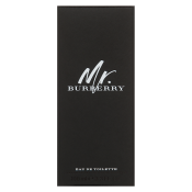 Burberry Mr. Burberry toaletní voda pro muže 100 ml
