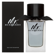 Burberry Mr. Burberry toaletní voda pro muže 100 ml