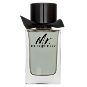 Burberry Mr. Burberry toaletní voda pro muže 150 ml