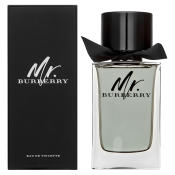 Burberry Mr. Burberry toaletní voda pro muže 150 ml