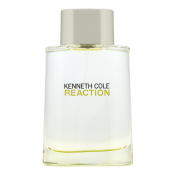 Kenneth Cole Reaction Eau de Toilette for men 100 ml