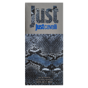 Roberto Cavalli Just Cavalli Him 2013 woda toaletowa dla mężczyzn 90 ml
