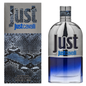 Roberto Cavalli Just Cavalli Him 2013 woda toaletowa dla mężczyzn 90 ml