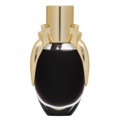 Lady Gaga Fame Black Fluid parfémovaná voda pre ženy 30 ml