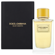 Dolce & Gabbana Velvet Ginestra woda perfumowana dla kobiet 150 ml