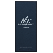 Burberry Mr. Burberry Indigo toaletní voda pro muže 100 ml