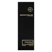 Montale Boisé Vanillé parfémovaná voda pro ženy 100 ml