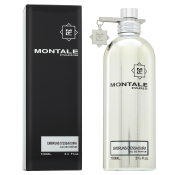 Montale Embruns d'Essaouira parfémovaná voda unisex 100 ml