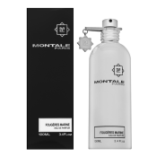 Montale Fougeres Marines parfémovaná voda unisex 100 ml