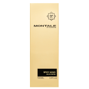 Montale Spicy Aoud parfémovaná voda unisex 100 ml
