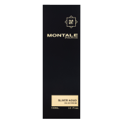 Montale Sliver Aoud parfémovaná voda pro muže 100 ml
