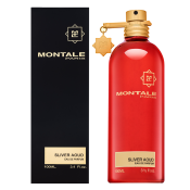 Montale Sliver Aoud parfémovaná voda pro muže 100 ml
