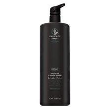 Paul Mitchell Awapuhi Wild Ginger Repair Keratin Cream Rinse posilující kondicionér pro suché a poškozené vlasy 1000 ml