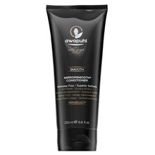 Paul Mitchell Awapuhi Wild Ginger Smooth MirrorSmooth Conditioner uhlazující kondicionér pro hrubé a nepoddajné vlasy 200 ml