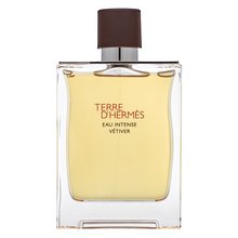 Hermès Terre D'Hermes Eau Intense Vetiver parfémovaná voda pro muže 200 ml