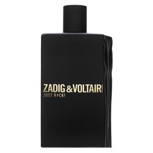 Zadig & Voltaire Just Rock! for Him toaletní voda pro muže 100 ml