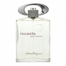 Salvatore Ferragamo Incanto Pour Homme toaletní voda pro muže 100 ml