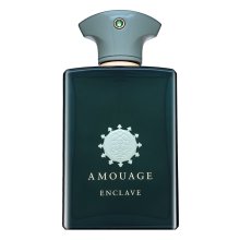Amouage Enclave Eau de Parfum bărbați 100 ml