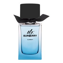 Burberry Mr. Burberry Element toaletní voda pro muže 100 ml