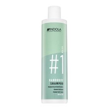 Indola Innova Dandruff Shampoo Reinigungsshampoo gegen Schuppen 300 ml