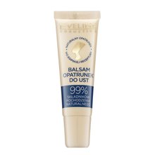 Eveline Egyptian Miracle Regenerating & Soothing Lip Balm-Compress balsam hrănitor de buze 12 ml