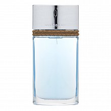 Banana Republic Wildblue for Men toaletní voda pro muže 100 ml